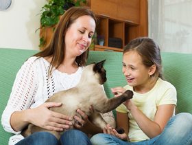 دراسة علمية تدفعك الى شراء حيوان اليف لطفلك