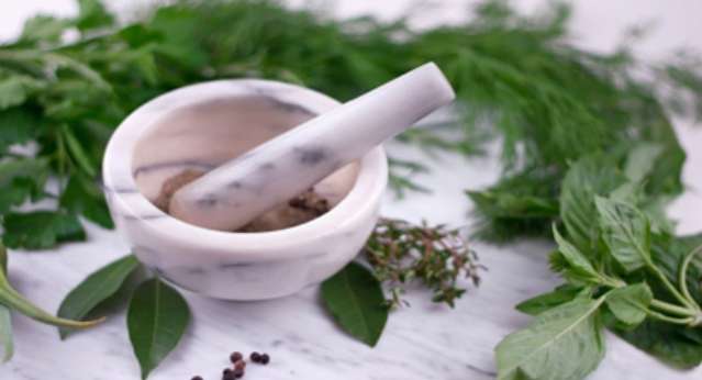الطب البديل | اعشاب مفيده، مضادات حيوية طبيعية