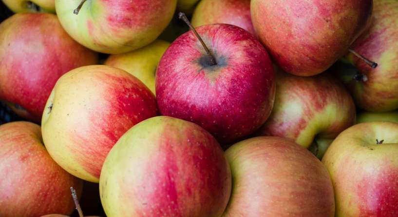 هل يمكن علاج حصوة المرارة بالتفاح