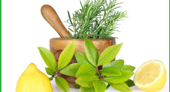 Plant, Citrus Fruit, Fruit