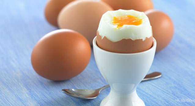 طريقة حمية صيام البيض لخسارة الوزن بسرعة