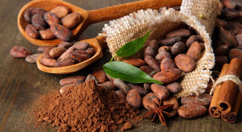 فوائد الكاكاو على الذاكرة