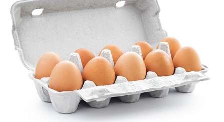 حساسية البيض: هل يعاني طفلك منها؟