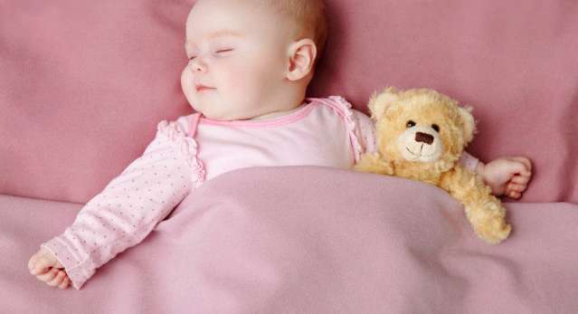 Teddy Bear, Toy, Person