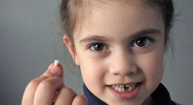 دراسة تبين ان اسنان الطفل تكشف قدراته الذهنية
