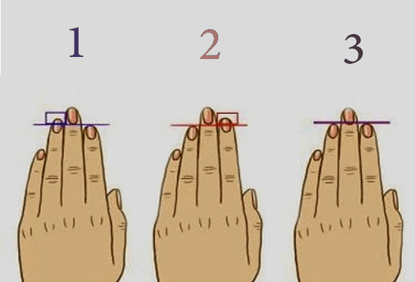 تحليل الشخصية من طول الأصابع