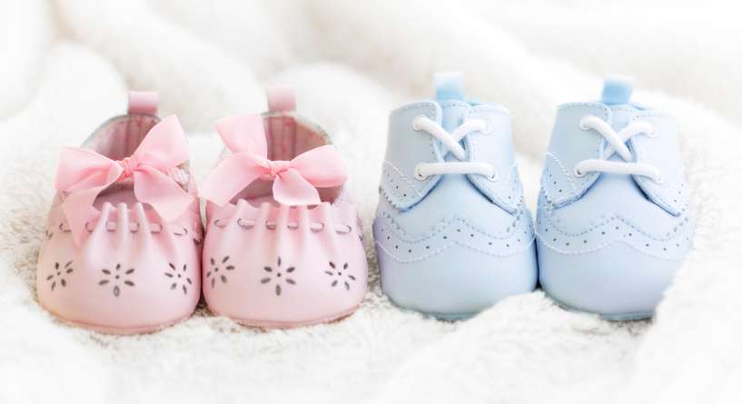 Shoe, Clothing, Footwear
