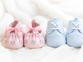 Shoe, Clothing, Footwear