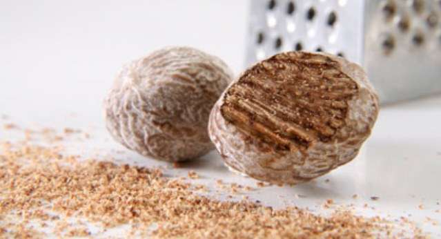 Plant, Food, Nut