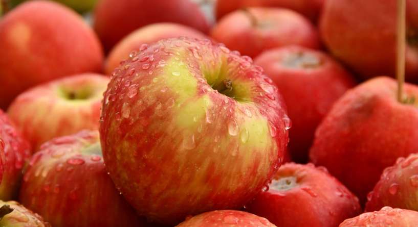 Plant, Fruit, Food
