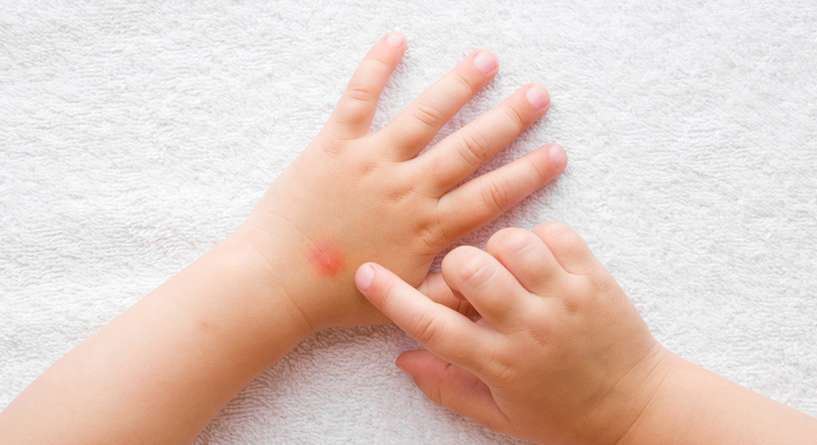 Hand, Person, Human