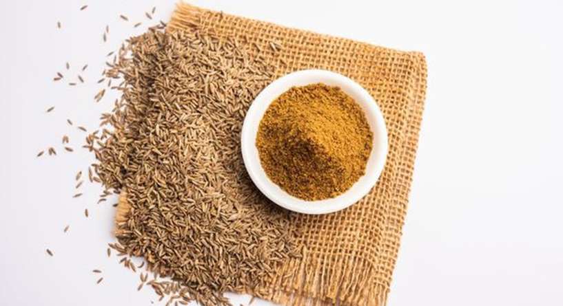 Plant, Rug, Food