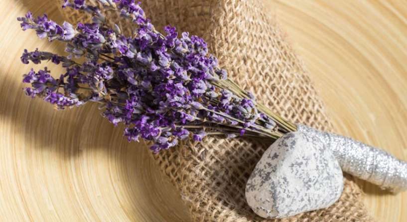 Plant, Lavender, Snake