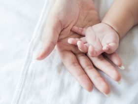 هل الام ترث ابنها