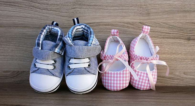 Clothing, Apparel, Shoe
