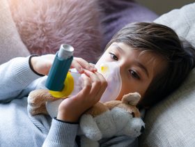 Person, Human, Teddy Bear