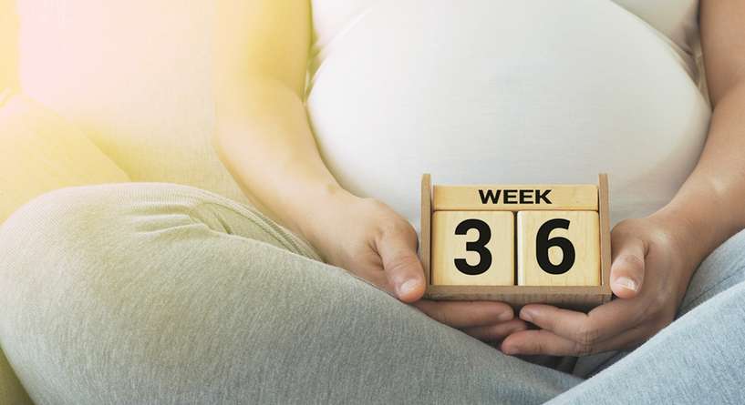 الولاده في الاسبوع ٣٦ والمخاطر
