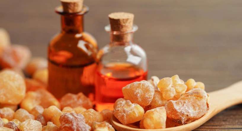 Sweets, Confectionery, Food