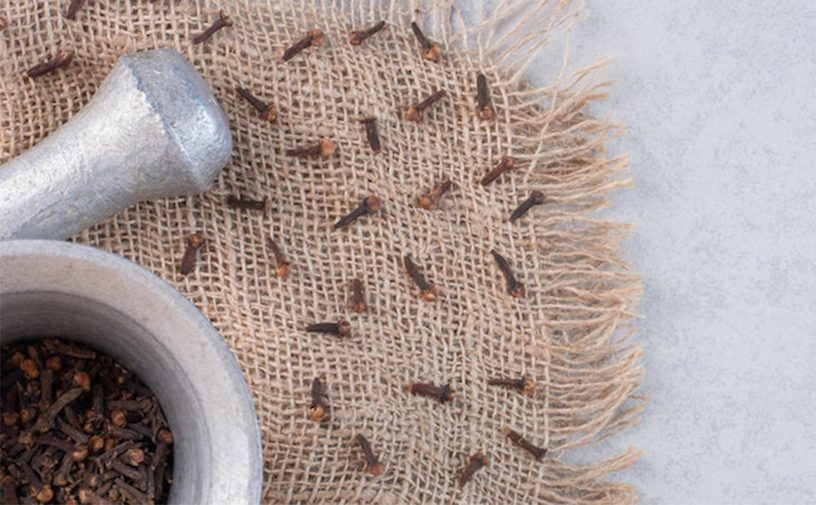 Home Decor, Honey Bee, Insect