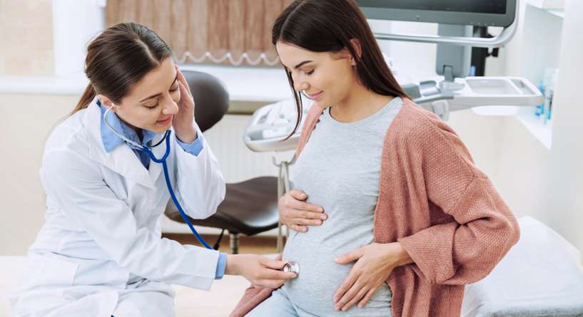 نبضات قلب الجنين ونظام الدورة الدموية لديه