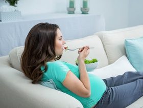 معلومات عن وحام الحامل
