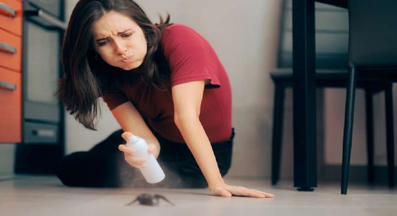 كيفية التخلص من الذباب في المنزل