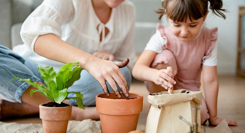الزراعة بالقطن للاطفال تقلق الأمهات