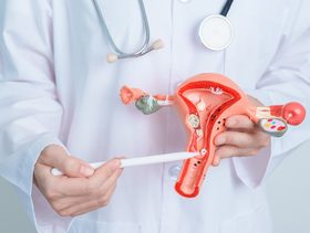 حجم فتحة المهبل عند العزباء