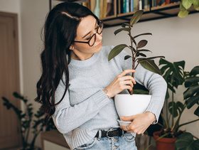 5 نباتات منزلية سريعة النمو ستختارينها حتمًا لديكور بيتك