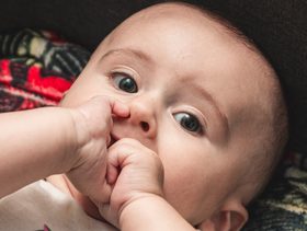 الفراولة للرضيع