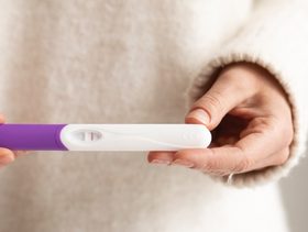 هل يحدث الحمل بعد الدورة مباشرة؟
