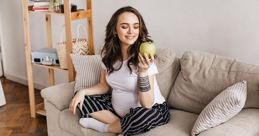 حامل تأكل التفاح
