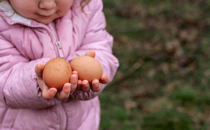 تشجيع الأطفال على تناول البيض