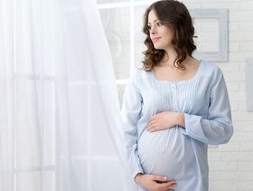 مراحل الحمل من اول يوم