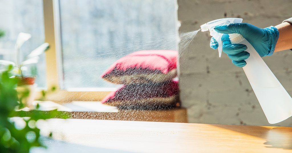 التخلص من النمل الصغير في المنزل