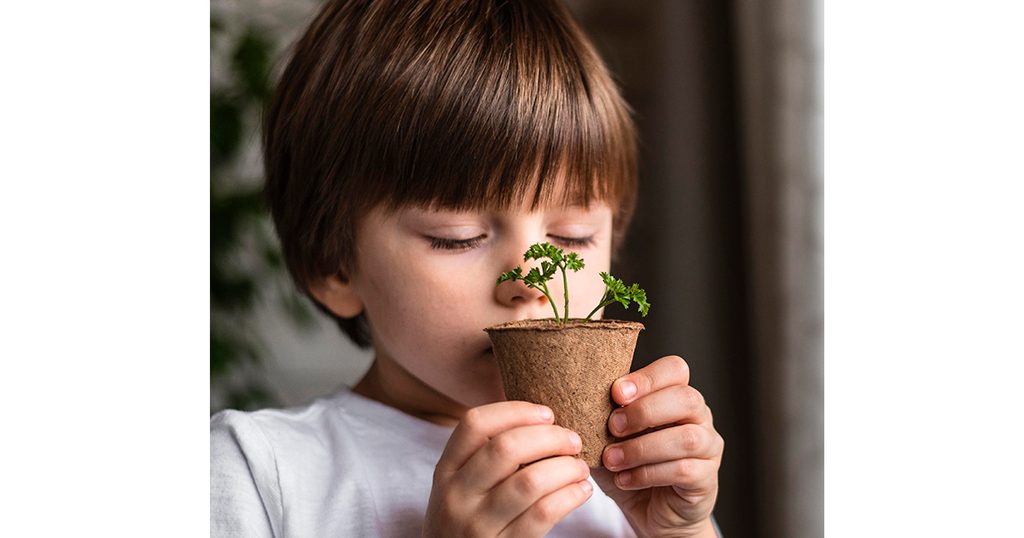 الزعتر البري للأطفال