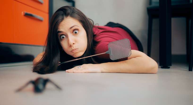 افضل طريقة للقضاء على الذباب