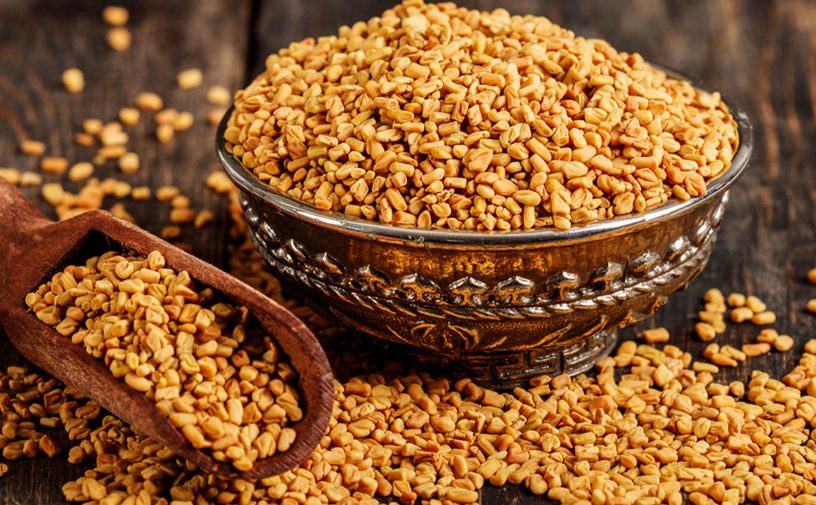 هل الحلبه تضر الحامل