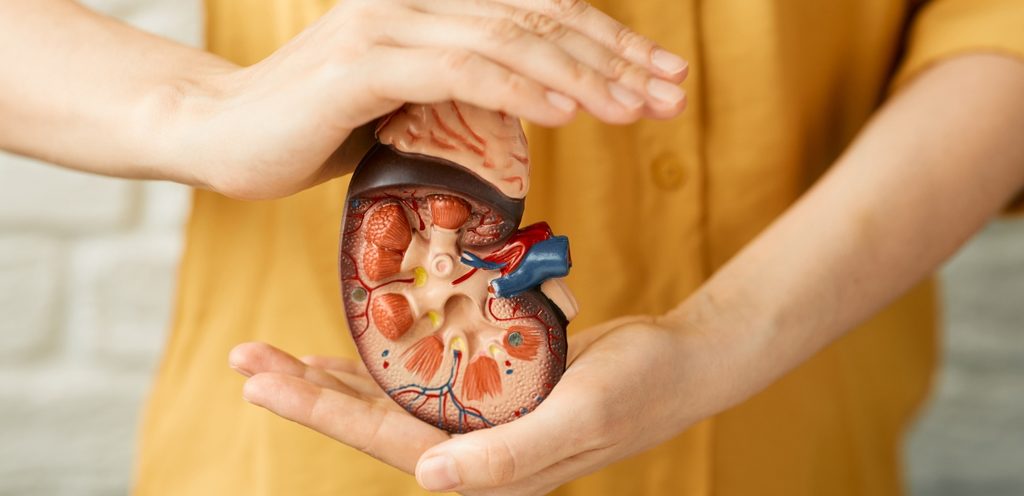 كيفيّة الوقاية من أمراض الكلى