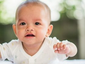 صوت الرضيع مثل الحصان