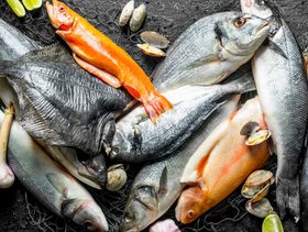 أفضل أنواع السمك للحامل