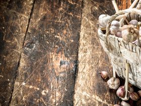 علاج الكيس الدهني في اليد بالثوم