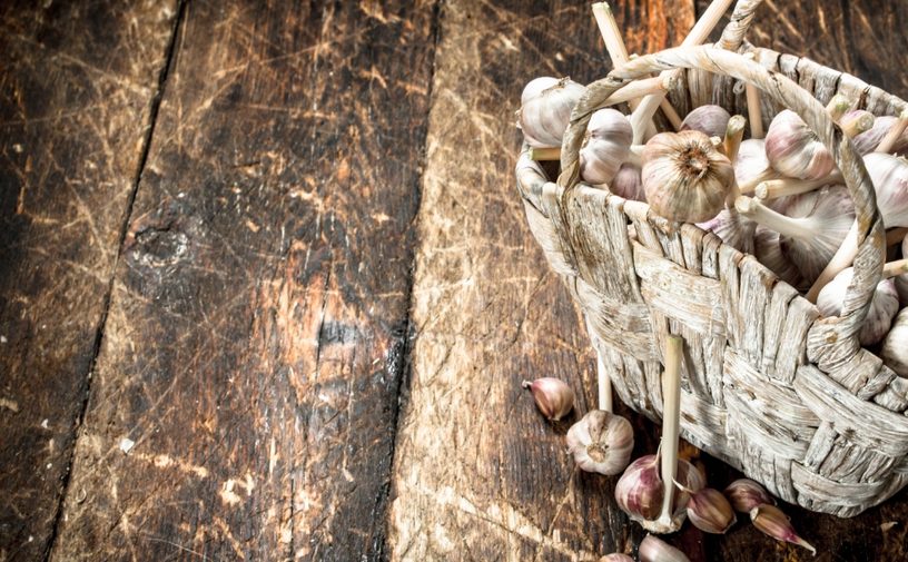 علاج الكيس الدهني في اليد بالثوم
