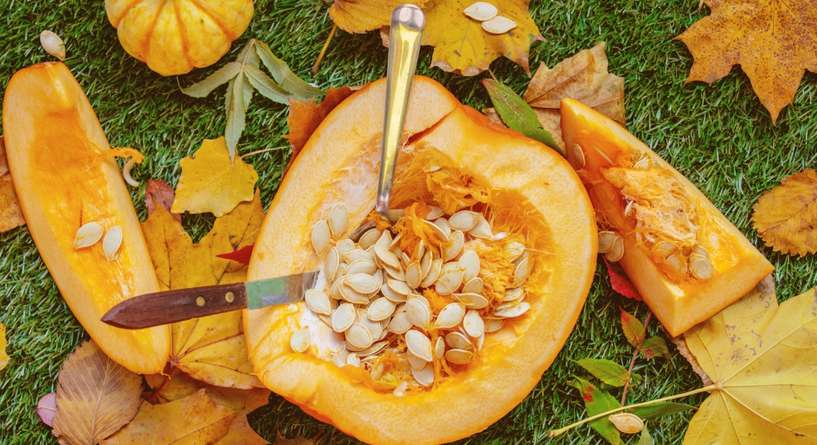 فوائد بذور القرع للحمل