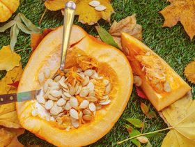 فوائد بذور القرع للحمل