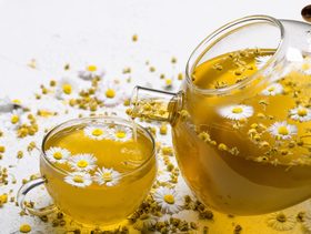 البابونج للحامل في الشهر التاسع