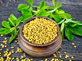 نبتة الحلبة