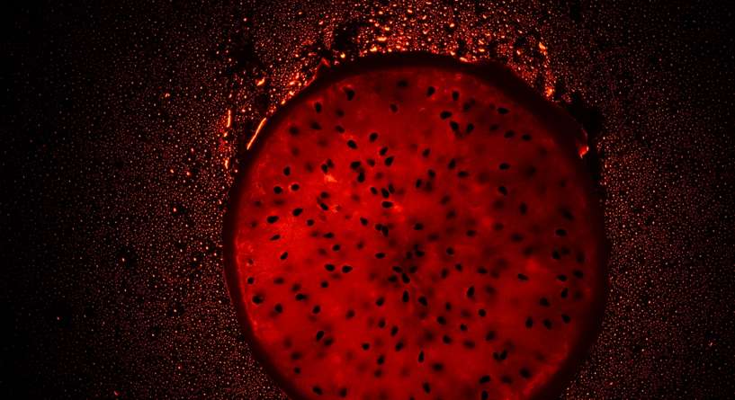 طرق رفع مخزون الحديد بسرعة