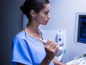 كيس الحمل الصغير