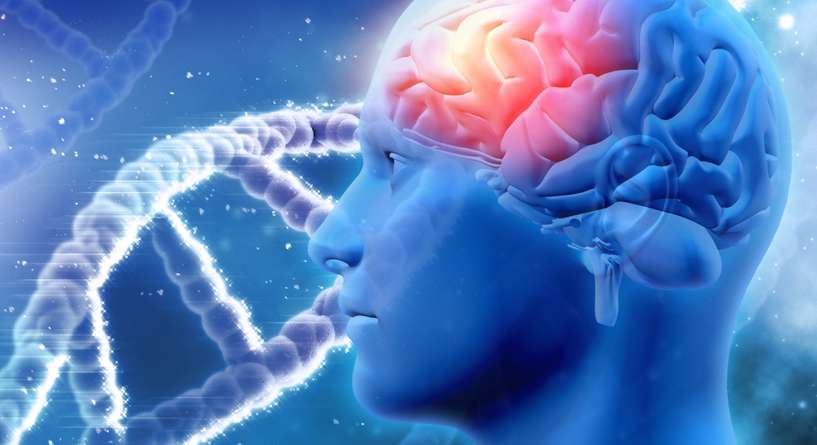 كيف يحافظ الدماغ على مشاعر الحبّ مع الشريك؟ أخبار سارة بانتظارك